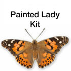 Monarch Butterfly rearing kit